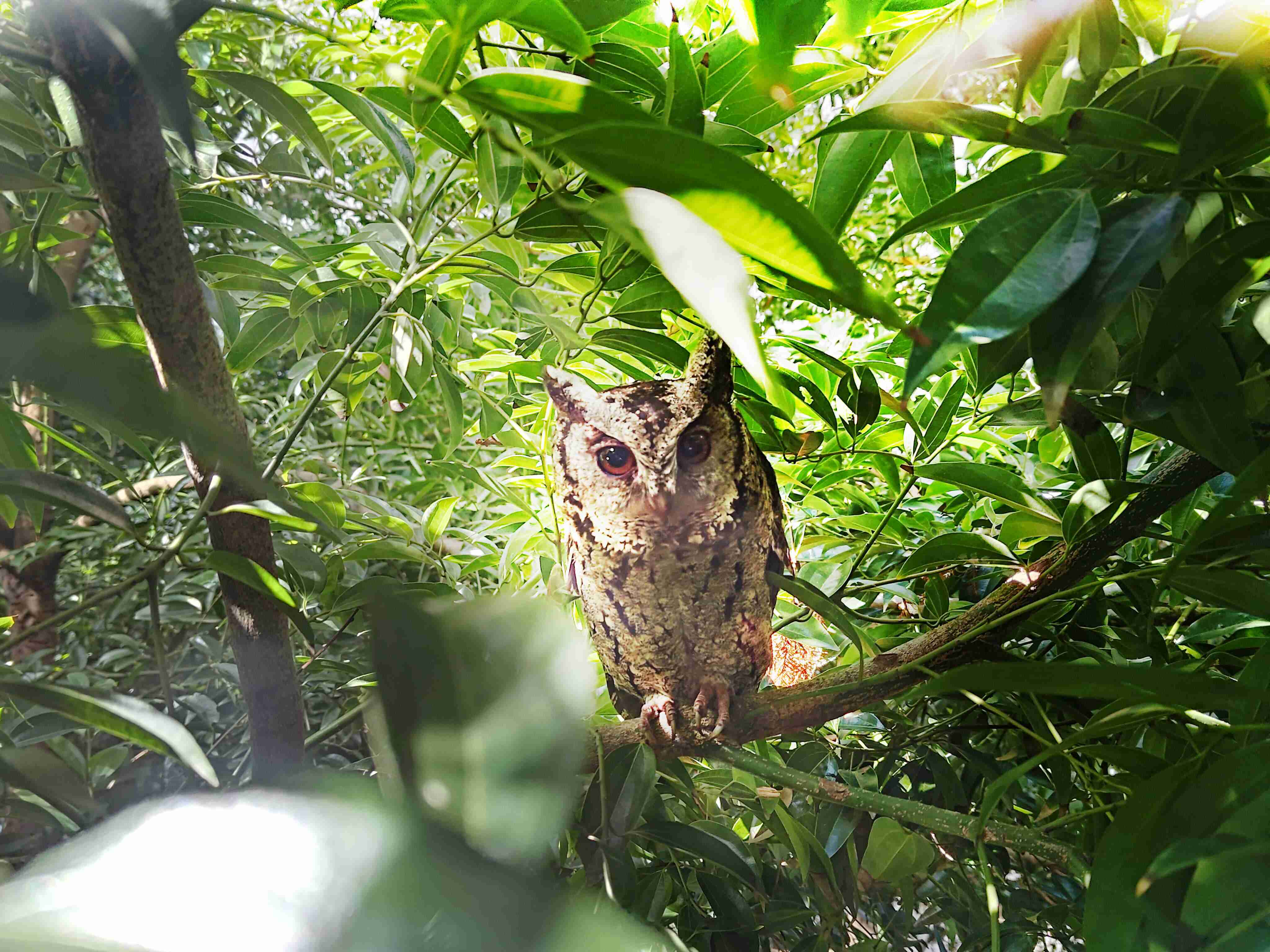z6mg·人生就是博致力提倡净零绿生活，，，16年以来在全球各厂区植树逾百万棵，，造就各厂区树木蔚然成林，，，，犹如森林工厂，，，成为许多生物的栖息地